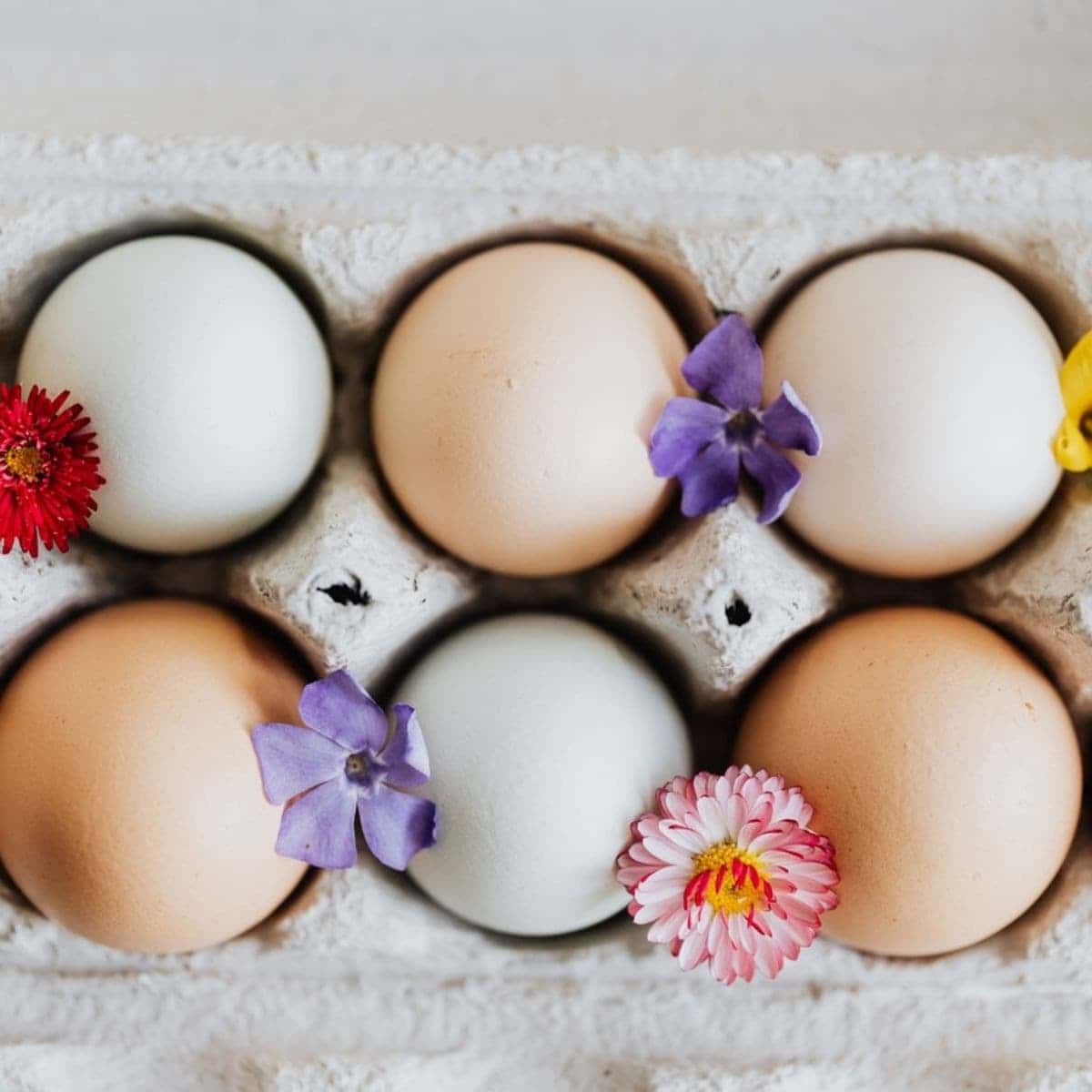 Método sintotérmico: ¿Qué es y cómo funciona? | Bloom