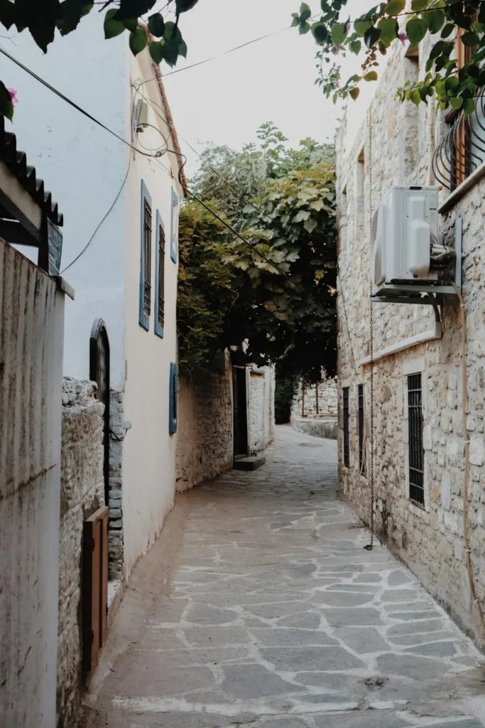 verano rural